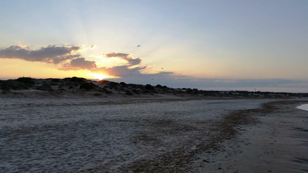 לה מאטה Urbanizacion Puerto Romano - Playa מראה חיצוני תמונה